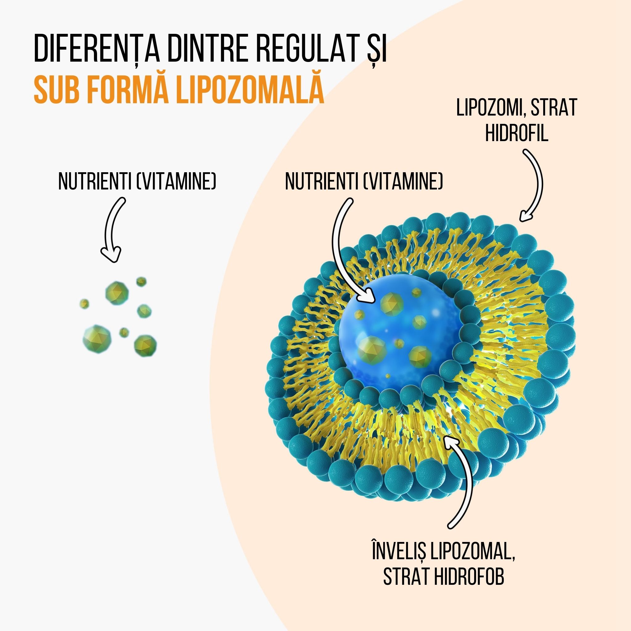 (Rumunština) lipo vs bezna forma